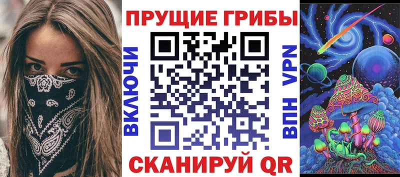 это Telegram  Ахтырский  Галлюциногенные грибы прущие грибы  хочу  